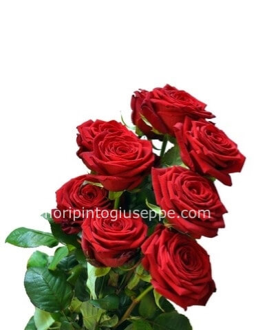 Rose rosse a stelo 80cm n5